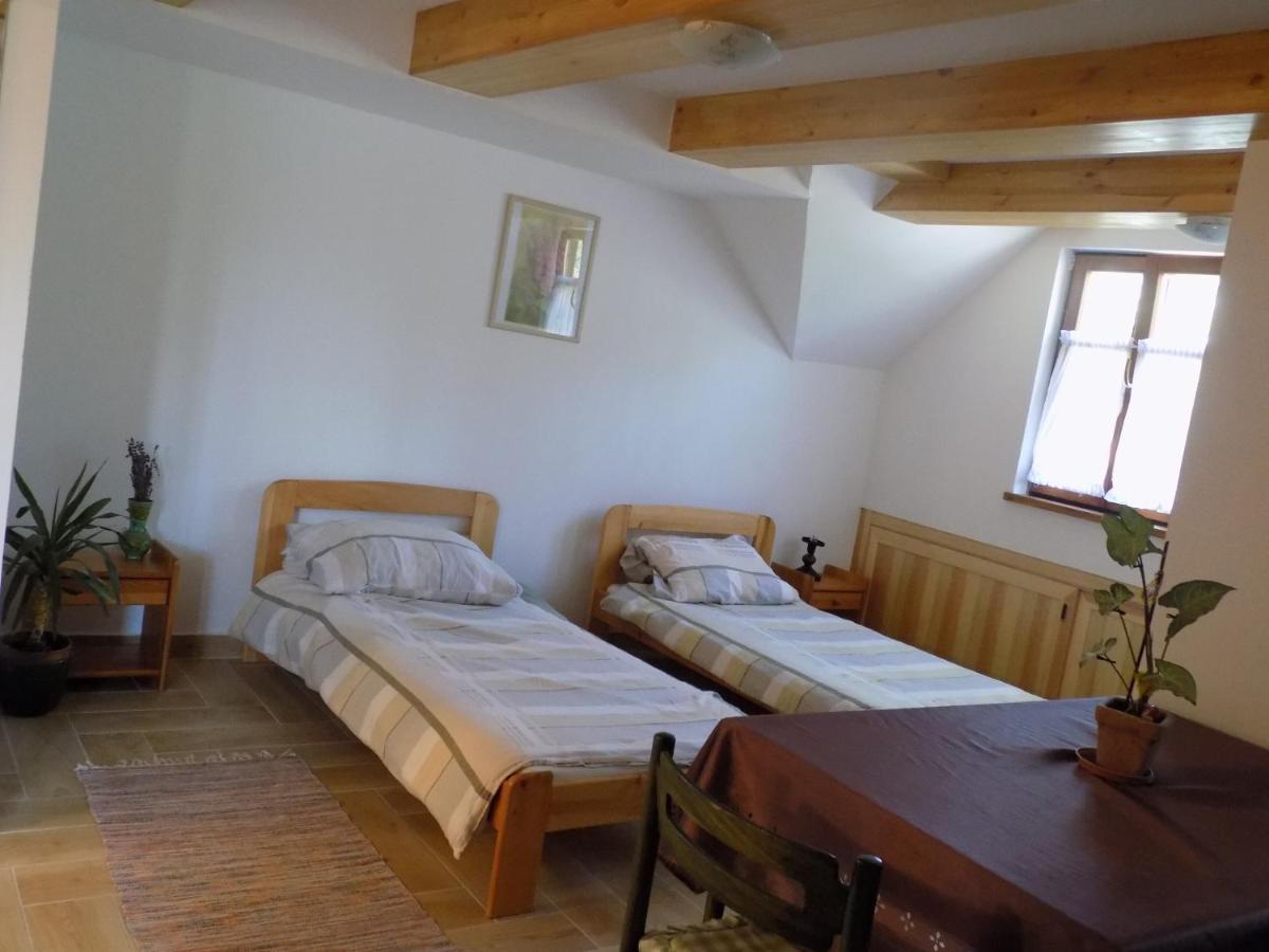 Takacs Tanya Nemesvamos Apartment Екстериор снимка